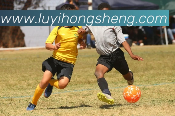 多媒体互动体验